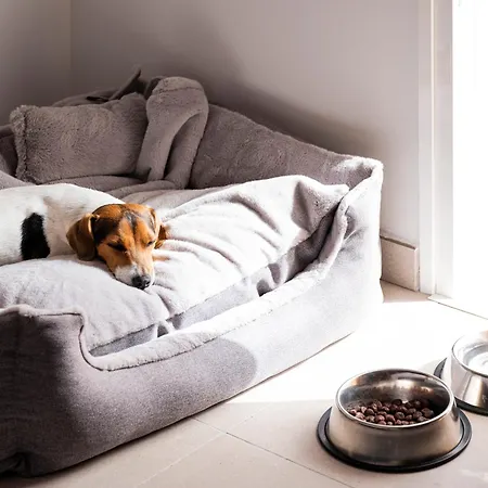 Sholeo Maspalomas Szálloda