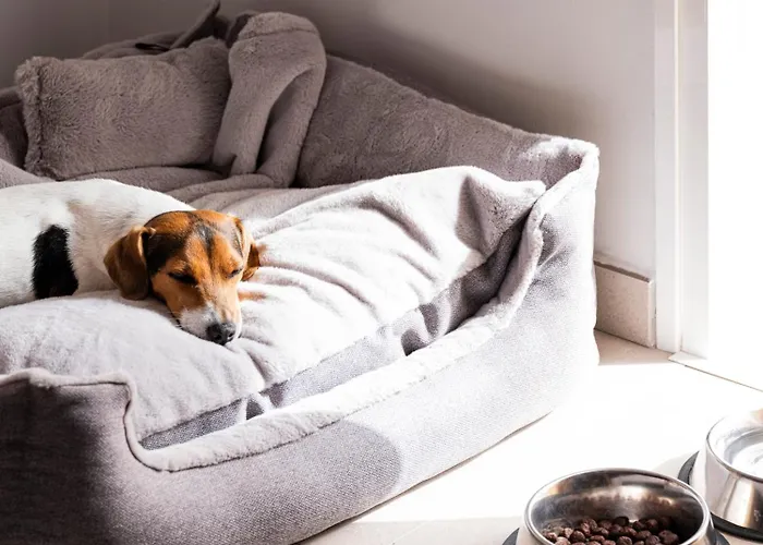 Sholeo Maspalomas ホテル